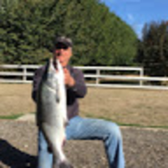 Meet your Posher, Daniel - Picture 1 of 1